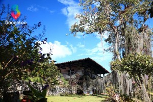 Hacienda en San Agustin Colombia Boogaloo Travel