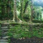 lost city trek in Colombia